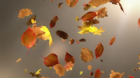 Falling Leaf Loopable Background Video stock 38483125