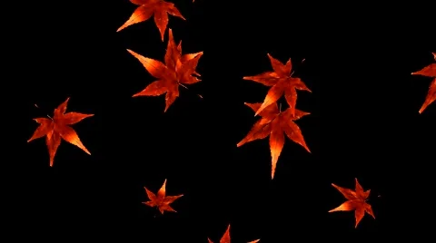 Falling Leaves 3D Animation Stock Footage 40159442