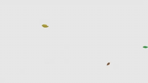 Falling leaves and flow in the wind - 2D animation with an alpha channel Stockbeeldmateriaal 262046430