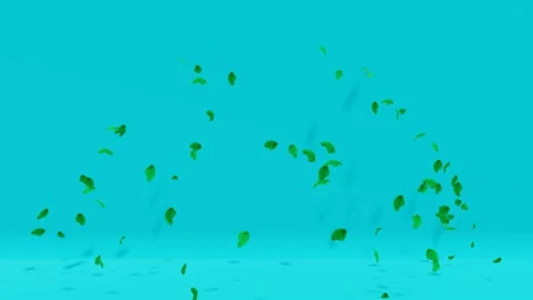 Falling Leaves Animation on Blue Video stock 319884631