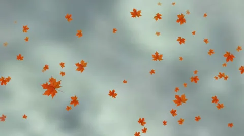 Falling leaves animation Stock Footage 26555387