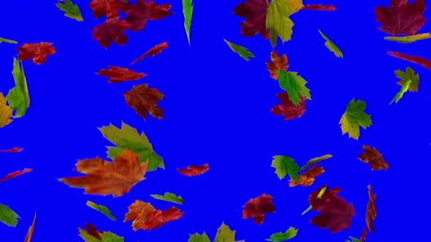 Falling leaves animation Stock Footage 162722448