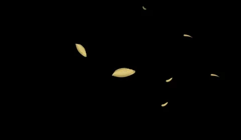 Falling leaves autumn animation Stock Footage 245364022