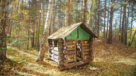 Falling leaves in the autumn forest, a small house Stock Footage 95925629