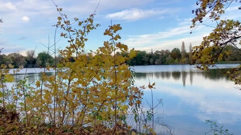 Falling leaves in autumn at a lake Stock Footage 318845386