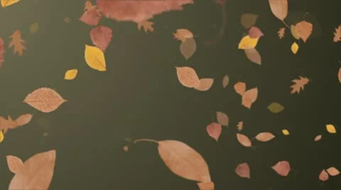 Falling leaves background Stock Footage 12207405