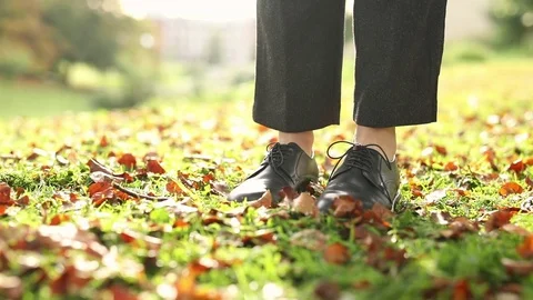 Falling leaves on blond Stock Footage 80958488