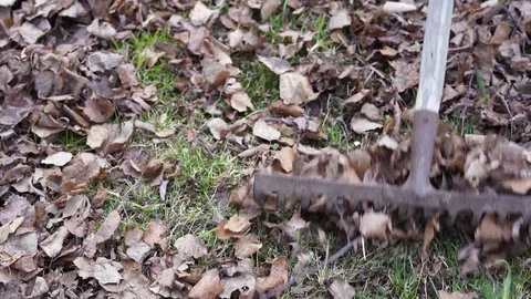 Falling leaves blowing in the wind slow motion shooting slowly fall to the groun Stock-Footage 97811586