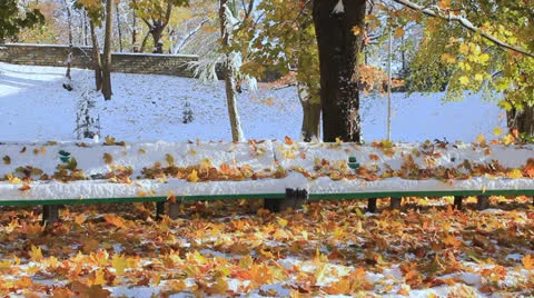 Falling leaves in a city park Stock-Footage 22870980