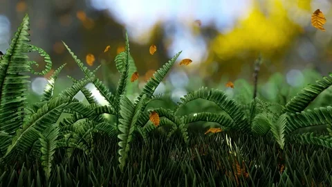 Falling leaves close up Stock Footage 77303744