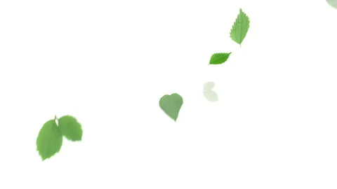 Falling Leaves Eco-Image Stock Footage 327399852