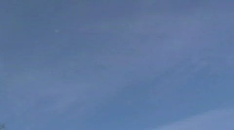 Falling Leaves Vidéo 279404