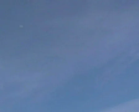 Falling Leaves Stock Footage 282523