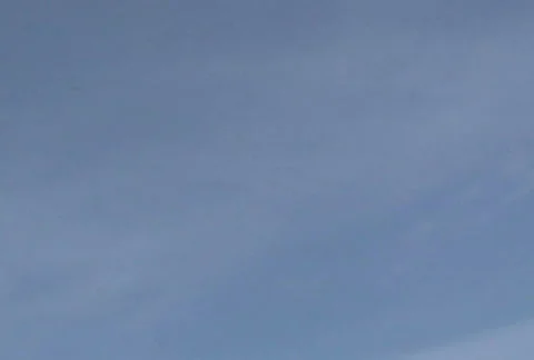 Falling Leaves Stock Footage 282560