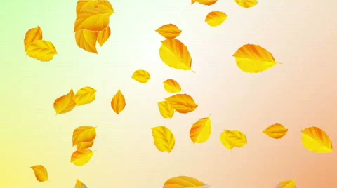 Falling leaves Stock-Footage 867173