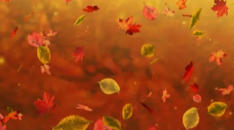 Falling leaves Stock-Footage 12677266