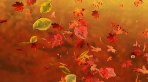 Falling leaves Stock-Footage 12687484