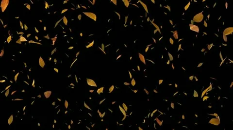 Falling leaves Stock Footage 22007757