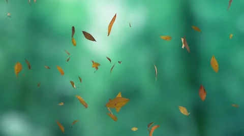 Falling leaves Stock Footage 22099800