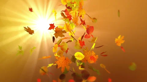 Falling leaves Stock Footage 32226024
