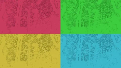 Falling Leaves Stock Footage 82607165