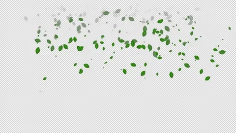 Falling leaves Stock Footage 152662847