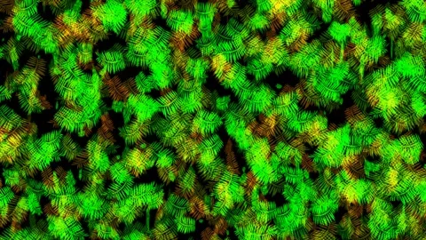 Falling leaves 库存影片 252584638