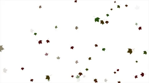 Falling leaves Video stock 281010050