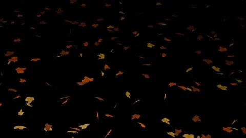 Falling Leaves Stock Footage 285587949