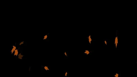 Falling leaves Stock Footage 286370943