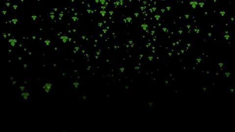 Falling Leaves. Stock Footage 297170252