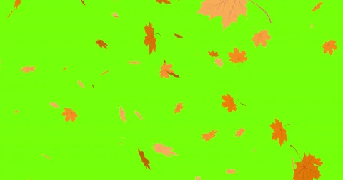 Falling leaves on green background Stock Footage 140399982