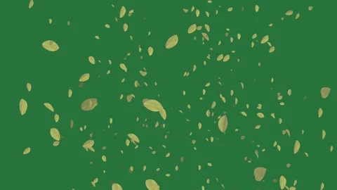 Falling leaves on Green screen and background with it lot of style motion Stock-Footage 335696998