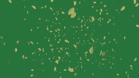 Falling leaves on green screen and a with lot of it bunch illustration style Stock-Footage 335697029