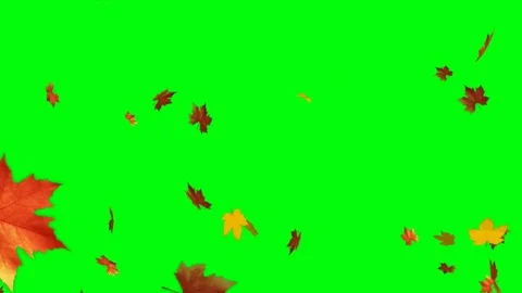 Falling leaves in green screen background Stock Footage 149241644