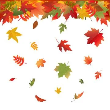 Falling leaves Stock Illustration