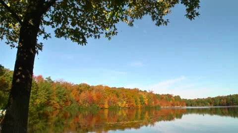 Falling leaves on lake Stock Footage 12537759