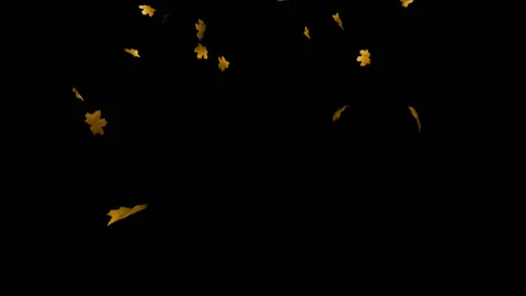 Falling leaves loop Stock Footage 100644240