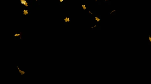 Falling leaves loop Stock Footage 100644256