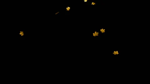 Falling leaves loop Stock Footage 100644291