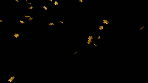 Falling leaves loop Stock Footage 100644328