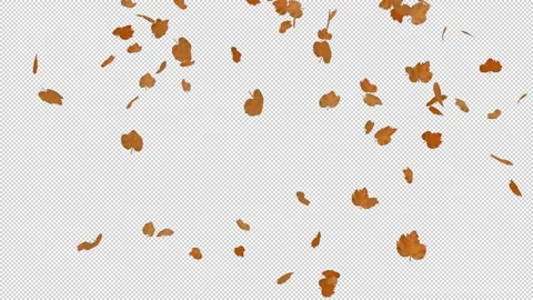 Falling Leaves Loop - Slow Motion - Alpha Channel Stock Footage 149420116