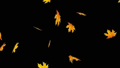 Falling leaves motion graphics with night background Stock Footage 136018393
