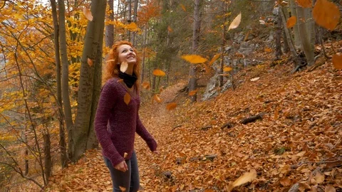 Falling leaves in the Mountain Track in a dense autumn forest - slow motion Stock Footage 86522123