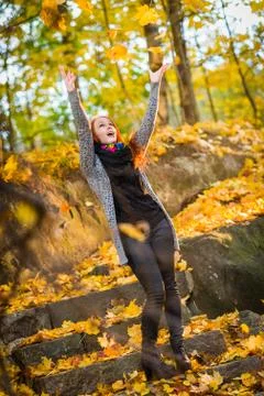 Falling leaves Stock-Fotos