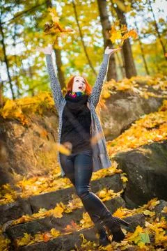 Falling leaves Stock Photos