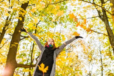 Falling leaves Фото