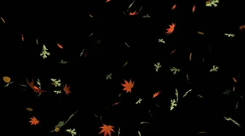 Falling leaves – seamless loop, alpha Stock Footage 12479359