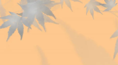 Falling Leaves Silhouette Impressions Video stock 33421950