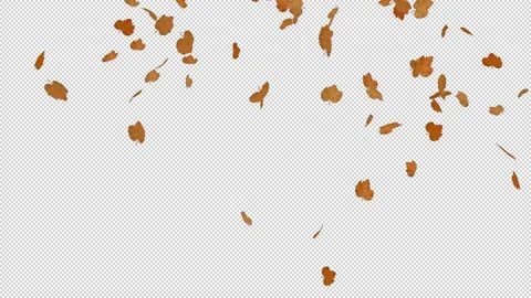 Falling Leaves - Slow Motion - Alpha Channel Stock Footage 149415106